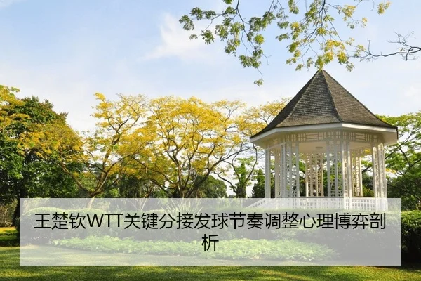 wang-chu-qin-guan-jian-fen-jie-fa-qiu-jie-zou-tiao-zheng-xin-li-bo-yi-pou-xi-2-298.jpg